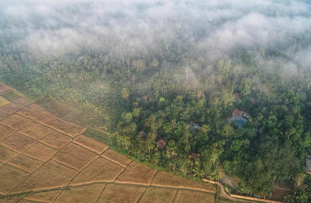Raindrops Resorts Wayanad スルタン・バザリー エクステリア 写真