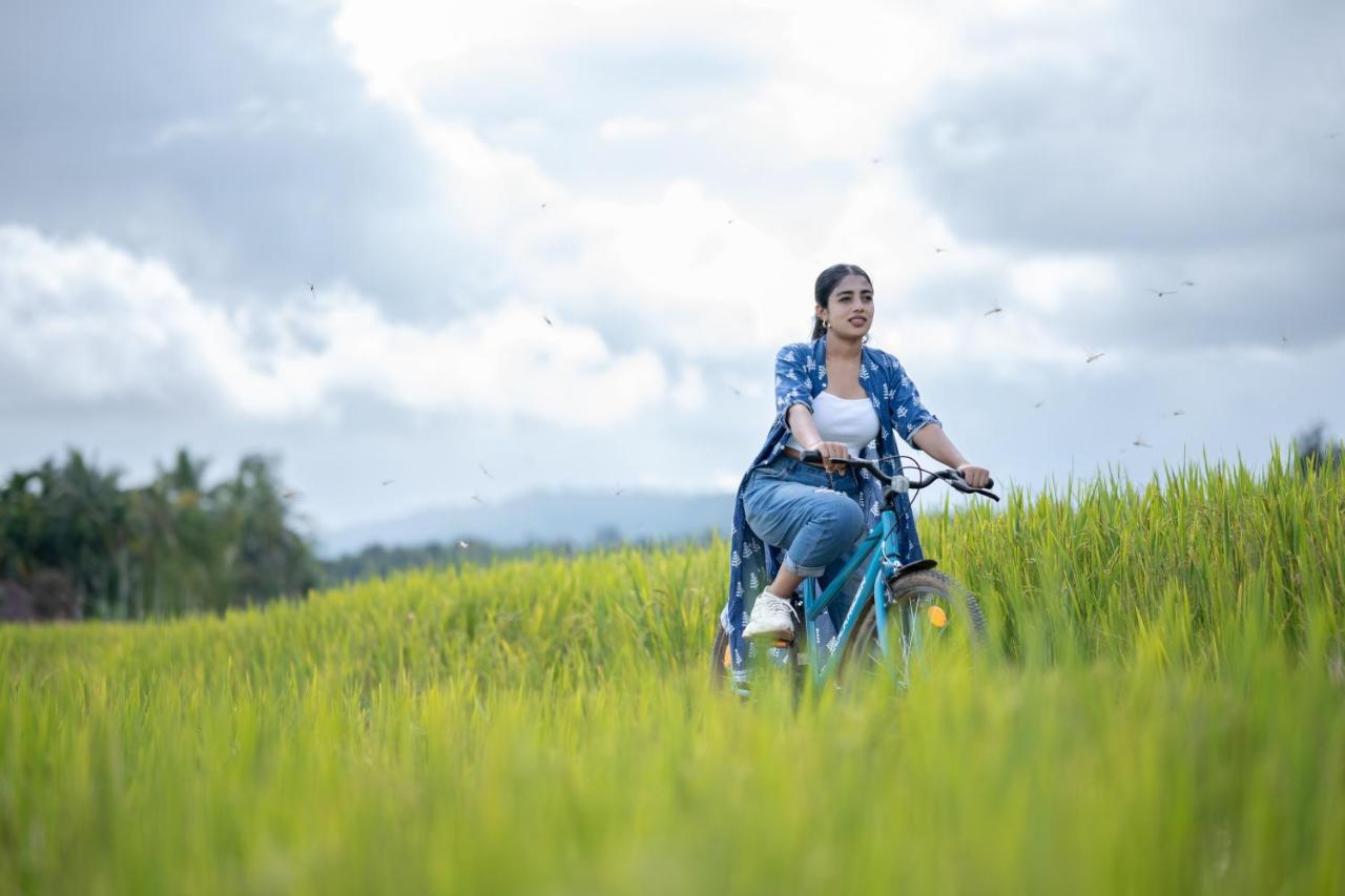 Raindrops Resorts Wayanad スルタン・バザリー エクステリア 写真