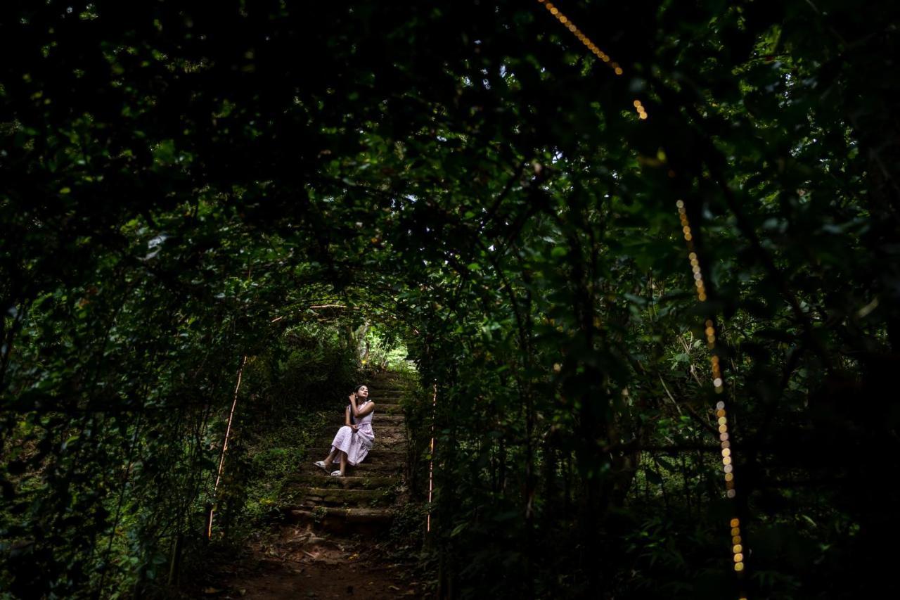 Raindrops Resorts Wayanad スルタン・バザリー エクステリア 写真