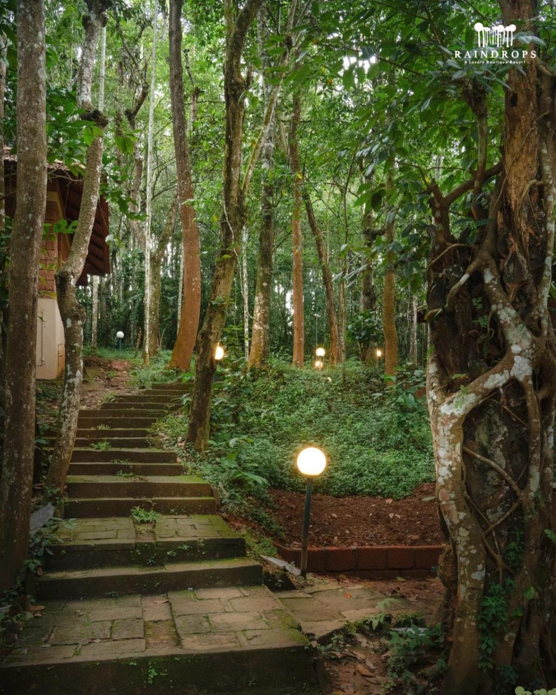 Raindrops Resorts Wayanad スルタン・バザリー エクステリア 写真