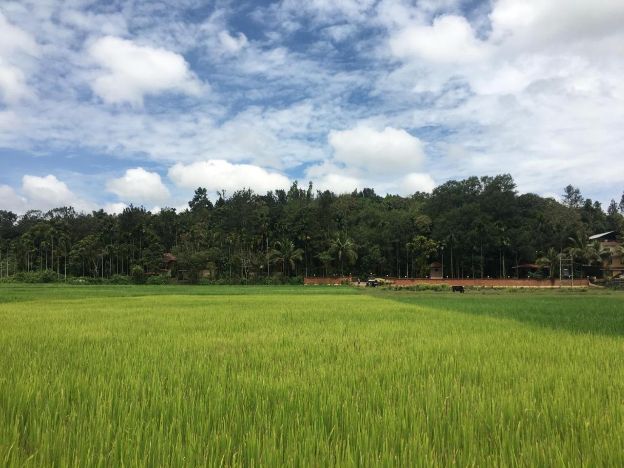 Raindrops Resorts Wayanad スルタン・バザリー エクステリア 写真