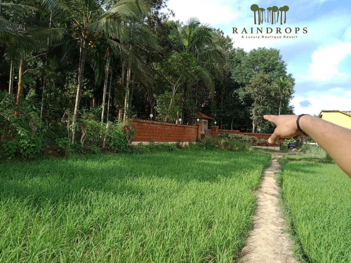 Raindrops Resorts Wayanad スルタン・バザリー エクステリア 写真